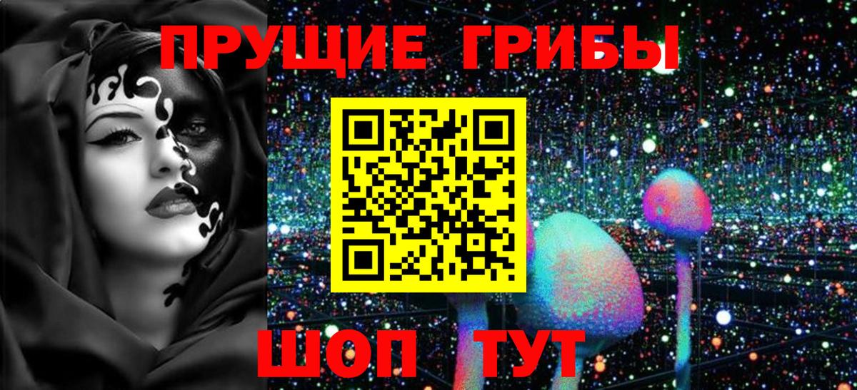 Псилоцибиновые грибы мицелий  Вход с VPN  Красноярск 