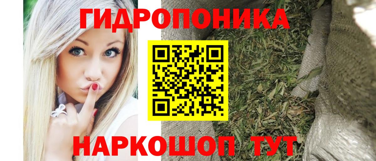 Марихуана Bruce Banner  Бошки марихуана VHQ  Вход с VPN  Марихуана ГИДРОПОН  Красноярск 